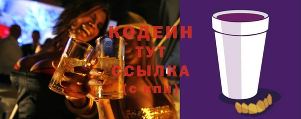 метадон Богданович