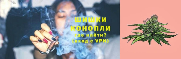 метадон Богданович