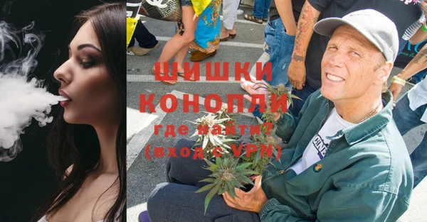 метадон Богданович