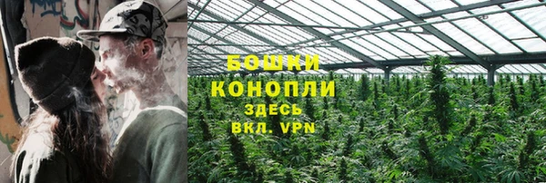 метадон Богданович