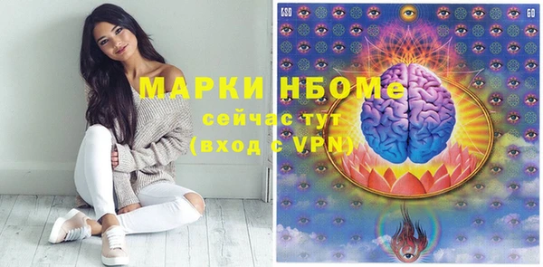 метадон Богданович