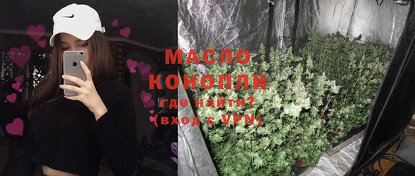 метадон Богданович