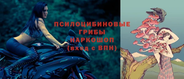 скорость Богородск
